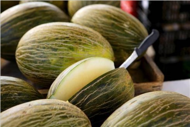 Imatge de melons. El central apareix semi-tallat per la meitat amb un ganivet.